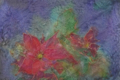 Weihnachtsstern, Seide