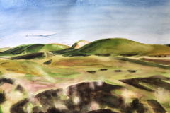 Amrum Landschaft