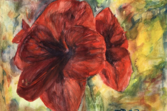 Amaryllis Übung
