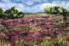 Amrumer Heide