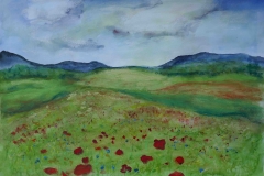 Mohnlandschaft