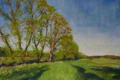 Abendstimmung im Frühling